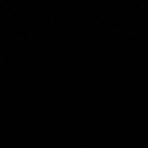 Meet your Posher, Ella